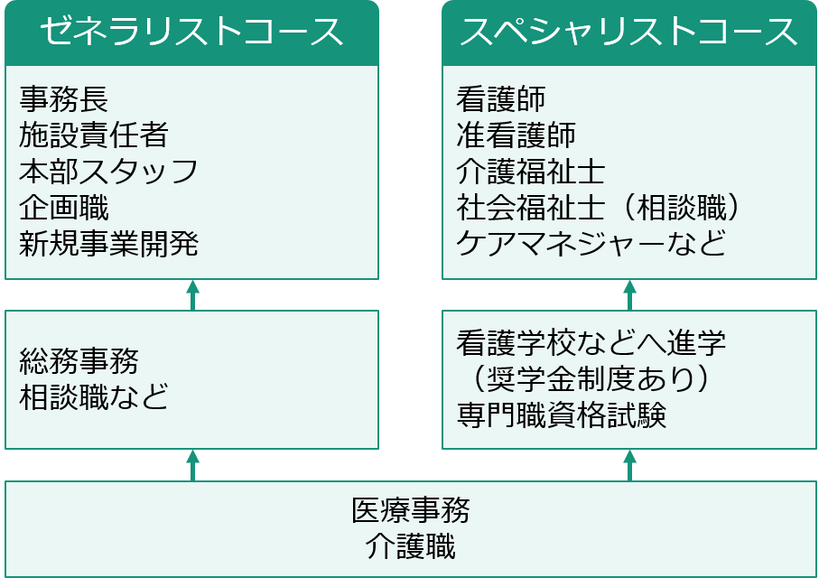 代表的なキャリアパス